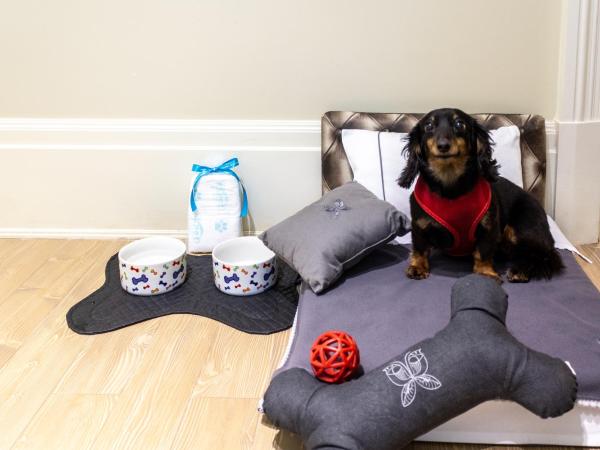 Palácio Tangará - an Oetker Collection Hotel : photo 5 de la chambre chambre prestige avec terrasse (2 adultes)