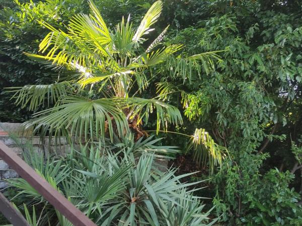 Villa Maria : photo 3 de la chambre chambre familiale - vue sur mer