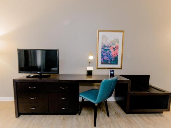 Hotel Indigo San Antonio Riverwalk, an IHG Hotel : photo 3 de la chambre chambre lit king-size standard avec vue sur cour