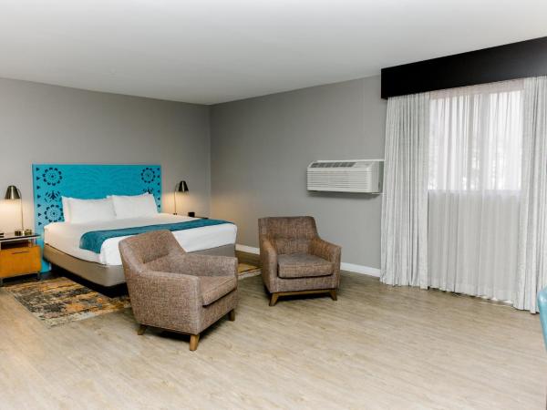 Hotel Indigo San Antonio Riverwalk, an IHG Hotel : photo 2 de la chambre chambre lit king-size standard avec vue sur cour