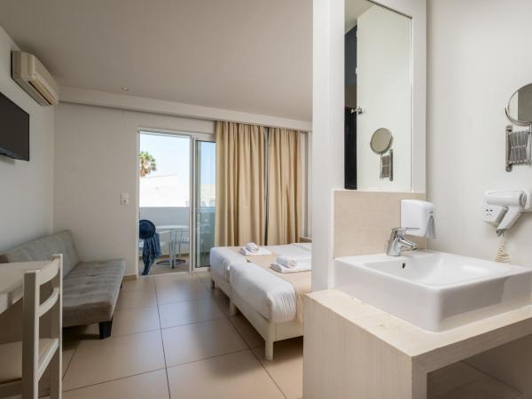 Dimitrios Beach Hotel Adults Friendly 14 plus : photo 1 de la chambre chambre double supérieure