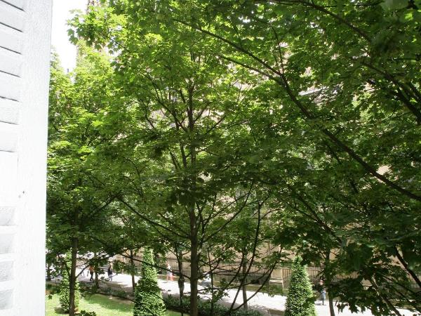 Hostal San Ignacio Centro : photo 4 de la chambre chambre double ou lits jumeaux - vue sur cathédrale