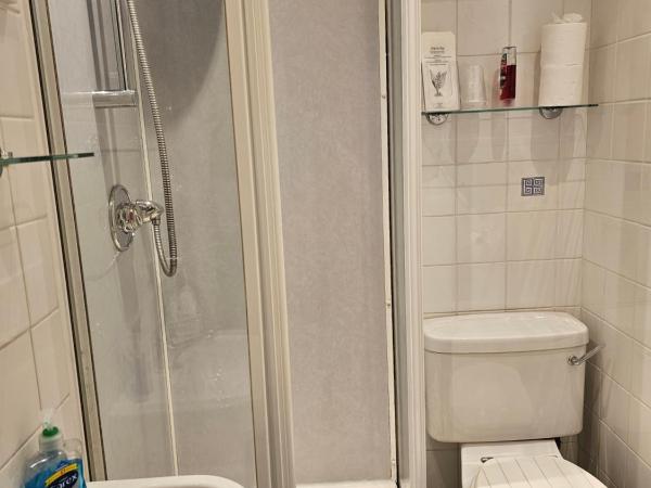 Smiths Guest House : photo 7 de la chambre chambre simple avec salle de bains privative