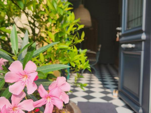 La Maison Mulato : photo 5 de la chambre appartement deluxe