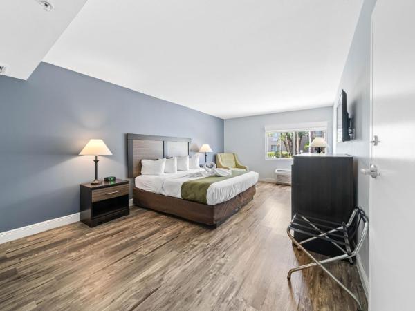 Quality Inn & Suites Near Fairgrounds Ybor City : photo 5 de la chambre chambre lit king-size - non-fumeurs