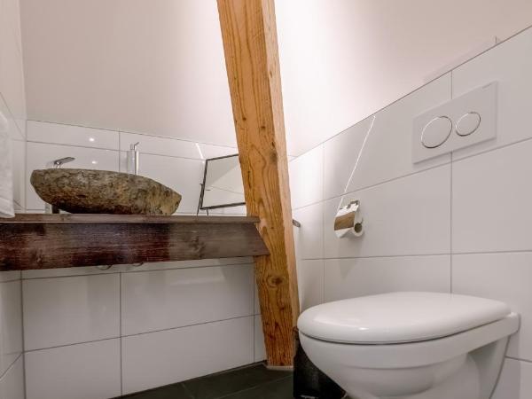 Swiss Inn & Apartments : photo 3 de la chambre appartement 2 chambres en duplex