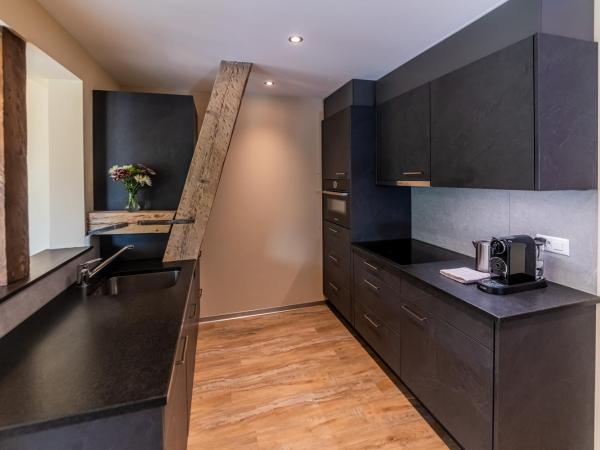 Swiss Inn & Apartments : photo 8 de la chambre appartement 2 chambres en duplex