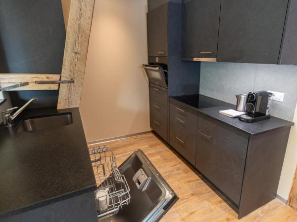 Swiss Inn & Apartments : photo 10 de la chambre appartement 2 chambres en duplex