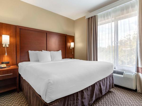 Comfort Suites Medical Center near Six Flags : photo 1 de la chambre suite lit king-size – non-fumeurs