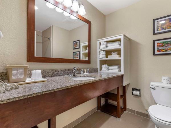 Comfort Suites Medical Center near Six Flags : photo 5 de la chambre suite lit king-size – non-fumeurs