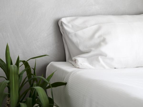 Boutique Hotel Bali : photo 4 de la chambre chambre familiale - vue sur jardin