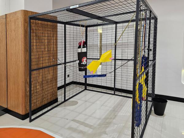 MEDWORLD COSMOS Health & Rehabilitation Center : photo 5 de la chambre physical therapy & rehabilitation 1 person