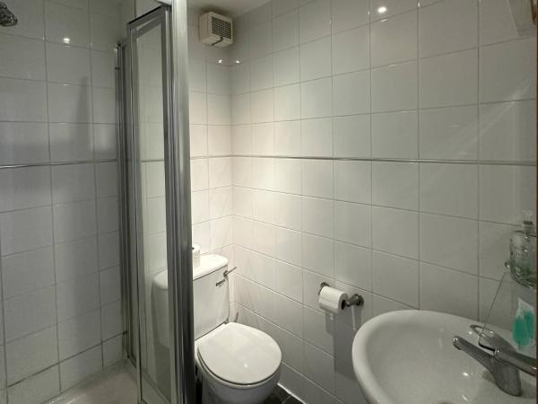 The Brent Hotel - London - Wembley : photo 7 de la chambre chambre simple