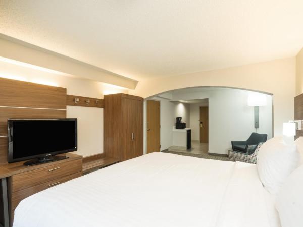 Holiday Inn Express Hotel & Suites Louisville East, an IHG Hotel : photo 4 de la chambre chambre lit king-size standard avec baignoire accessible aux personnes à mobilité réduite