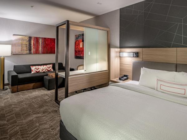 SpringHill Suites Dallas Central Expressway : photo 6 de la chambre suite lit king-size avec lit gigogne