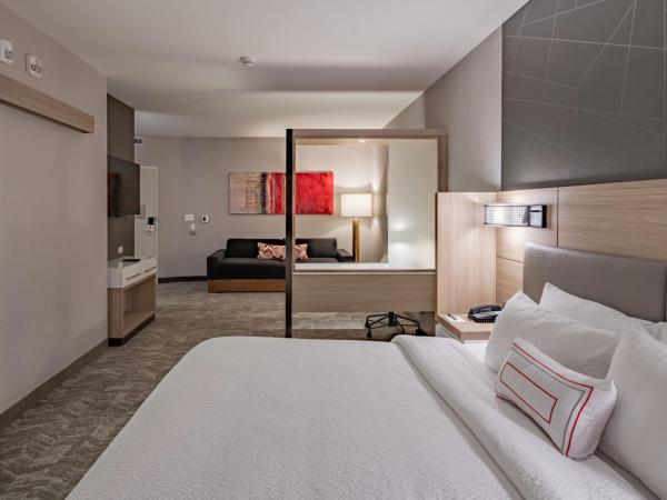 SpringHill Suites Dallas Central Expressway : photo 2 de la chambre suite lit king-size avec lit gigogne