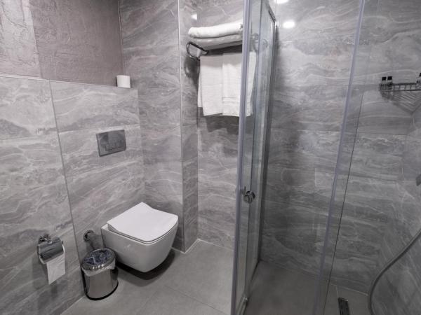 Avion Suite Hotel : photo 4 de la chambre chambre deluxe