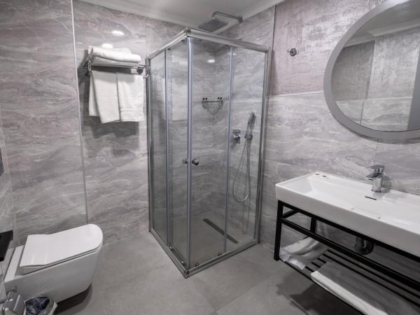 Avion Suite Hotel : photo 5 de la chambre chambre deluxe