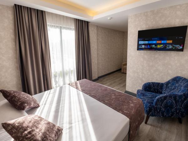 Avion Suite Hotel : photo 2 de la chambre chambre deluxe