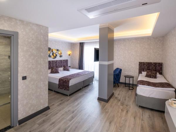 Avion Suite Hotel : photo 1 de la chambre chambre triple deluxe