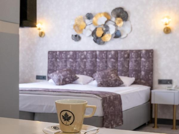 Avion Suite Hotel : photo 3 de la chambre chambre triple deluxe