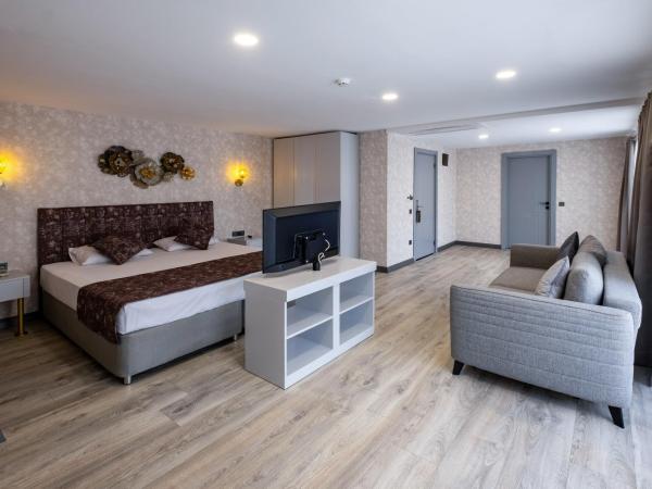 Avion Suite Hotel : photo 2 de la chambre suite avec terrasse