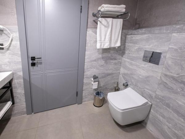 Avion Suite Hotel : photo 9 de la chambre suite avec terrasse