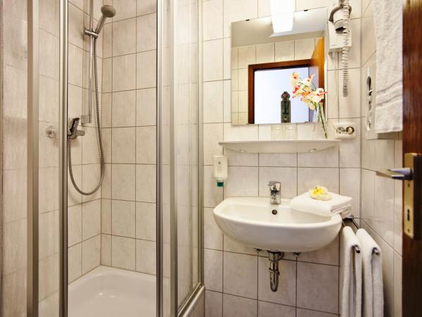 Hotel Hahn : photo 4 de la chambre chambre simple