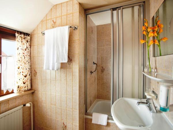 Hotel Hahn : photo 2 de la chambre chambre simple