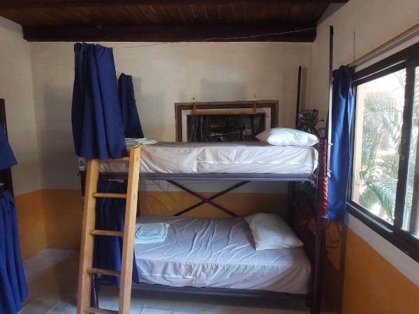 Tower Bridge Hostel : photo 6 de la chambre lit dans dortoir mixte de 6 lits