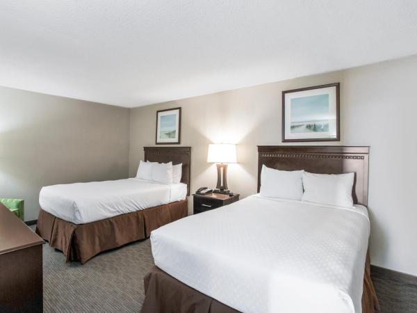 Beach Quarters Resort : photo 2 de la chambre suite 1 chambre de luxe - front de mer