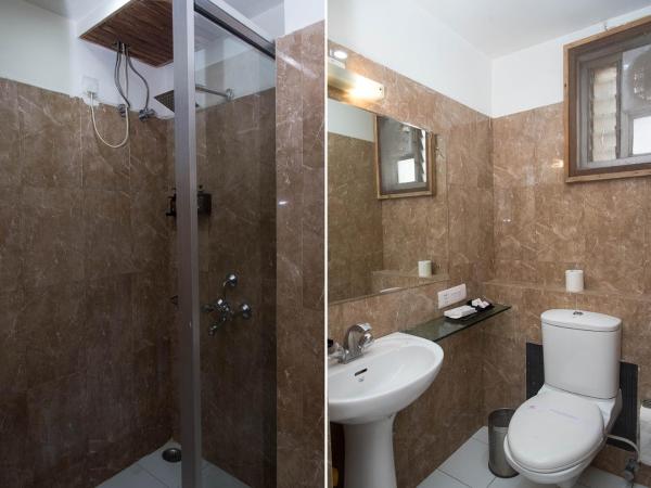 Raghu Mahal Hotel : photo 5 de la chambre chambre double standard