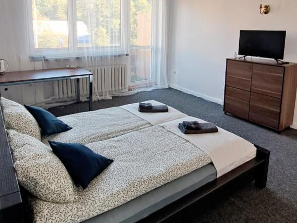 Apartamenty I Pokoje TK : photo 5 de la chambre appartement avec salle de bains commune