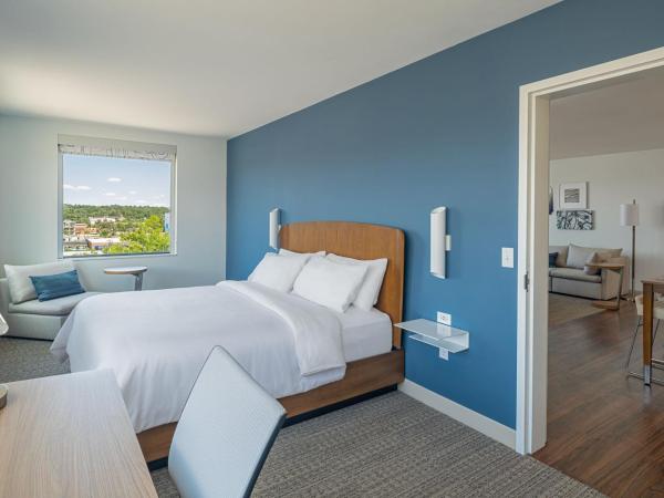 Element Colorado Springs Downtown : photo 3 de la chambre suite lit king-size exécutive