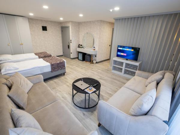 Avion Suite Hotel : photo 1 de la chambre suite