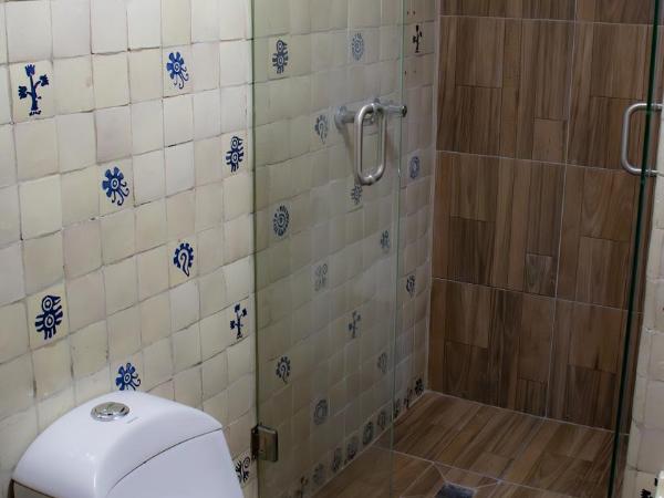 Suites Las Plazas : photo 3 de la chambre appartement avec balcon