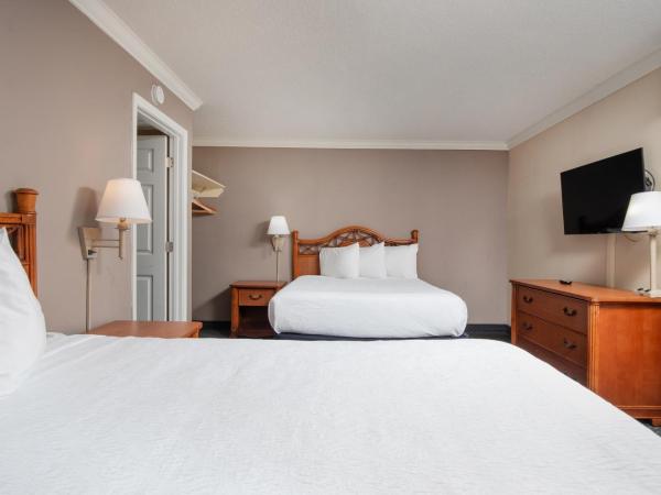 Grande Shores : photo 2 de la chambre suite 2 pièces de luxe