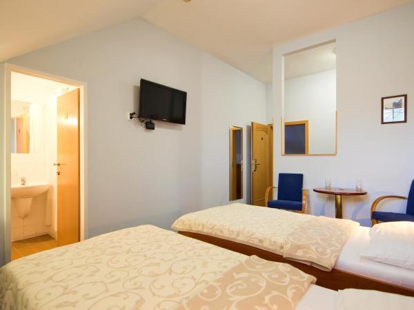 Hotel Čertousy : photo 1 de la chambre chambre double ou lits jumeaux Économique