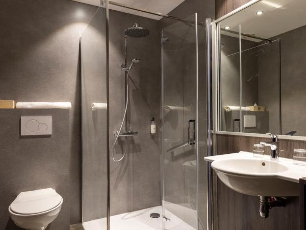 Hotel Le Dauphin : photo 4 de la chambre chambre double standard