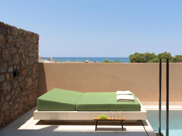 Paralos Venus Suites Adults Only : photo 5 de la chambre suite 1 chambre avec piscine privée 