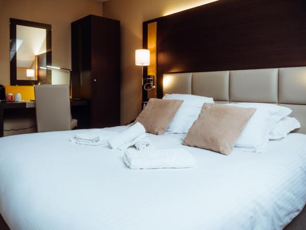 Hotel Le Dauphin : photo 7 de la chambre chambre double standard