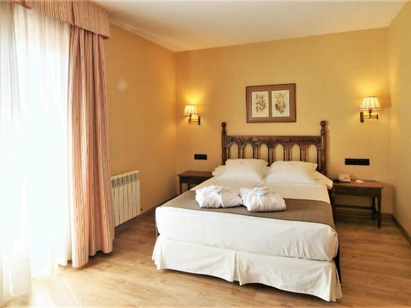 Hotel Ele Puente Romano de Salamanca : photo 9 de la chambre chambre double ou lits jumeaux