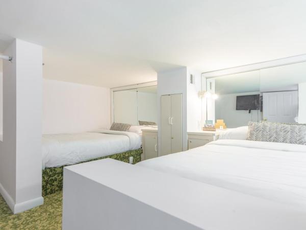 Girasole Rentals : photo 8 de la chambre appartement 2 chambres