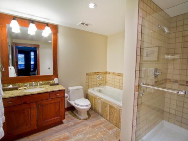 First Tracks Lodge : photo 6 de la chambre appartement 1 chambre