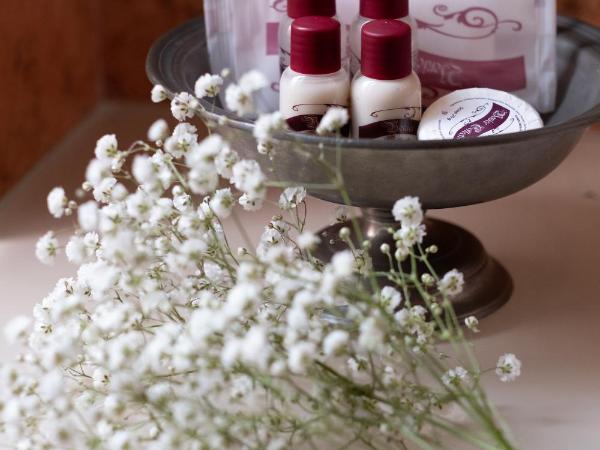 Palazzo Schiavoni Residenza d'epoca & Suite-Apartments : photo 10 de la chambre petite chambre double
