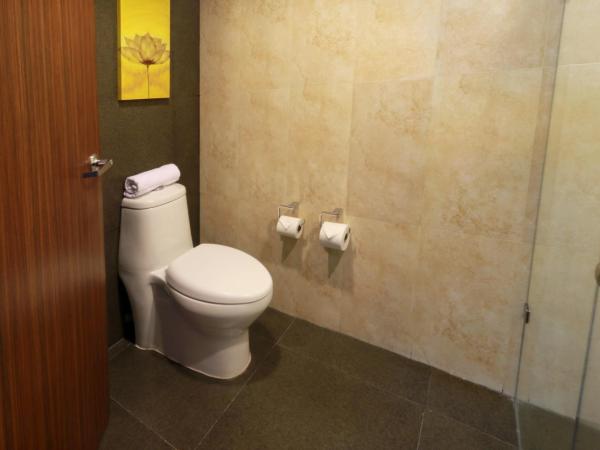 Holiday Inn Mexico City - Trade Center, an IHG Hotel : photo 2 de la chambre chambre standard