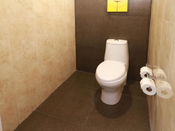 Holiday Inn Mexico City - Trade Center, an IHG Hotel : photo 1 de la chambre chambre lit king-size standard