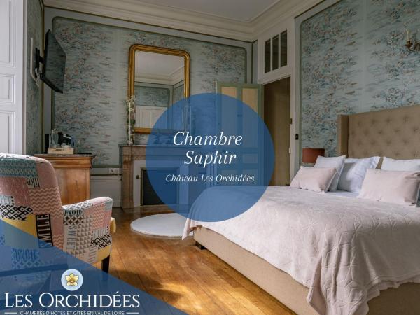 Bed & Breakfast Château Les Orchidées SAUMUR : photo 1 de la chambre chambre double deluxe avec douche