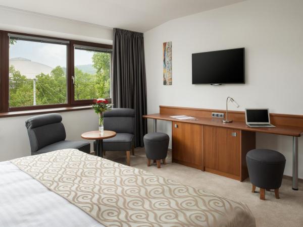 Penzion Integrity : photo 3 de la chambre chambre deluxe double ou lits jumeaux