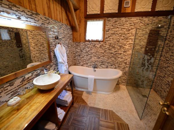 Chateau Du Boisniard : photo 6 de la chambre chambre familiale deluxe